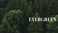 Evergreen