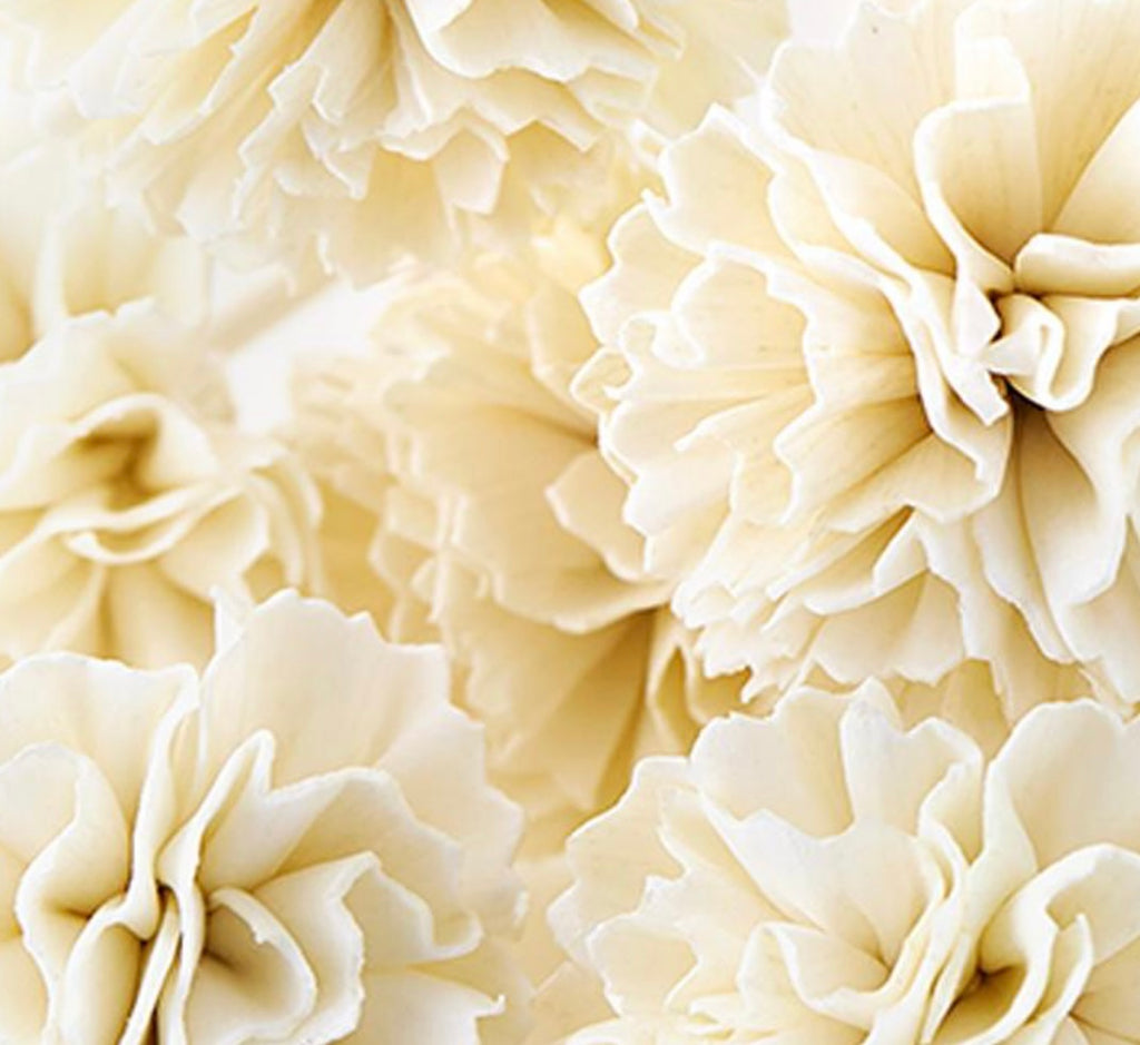 Flower Reeds For Diffuser