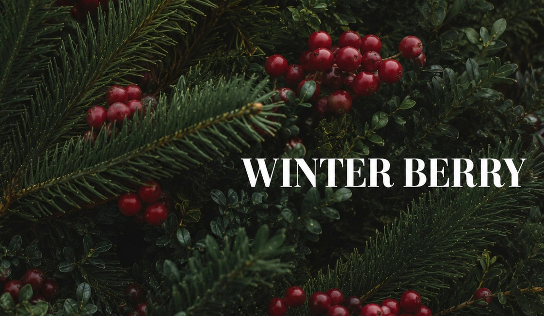 Winter Berry