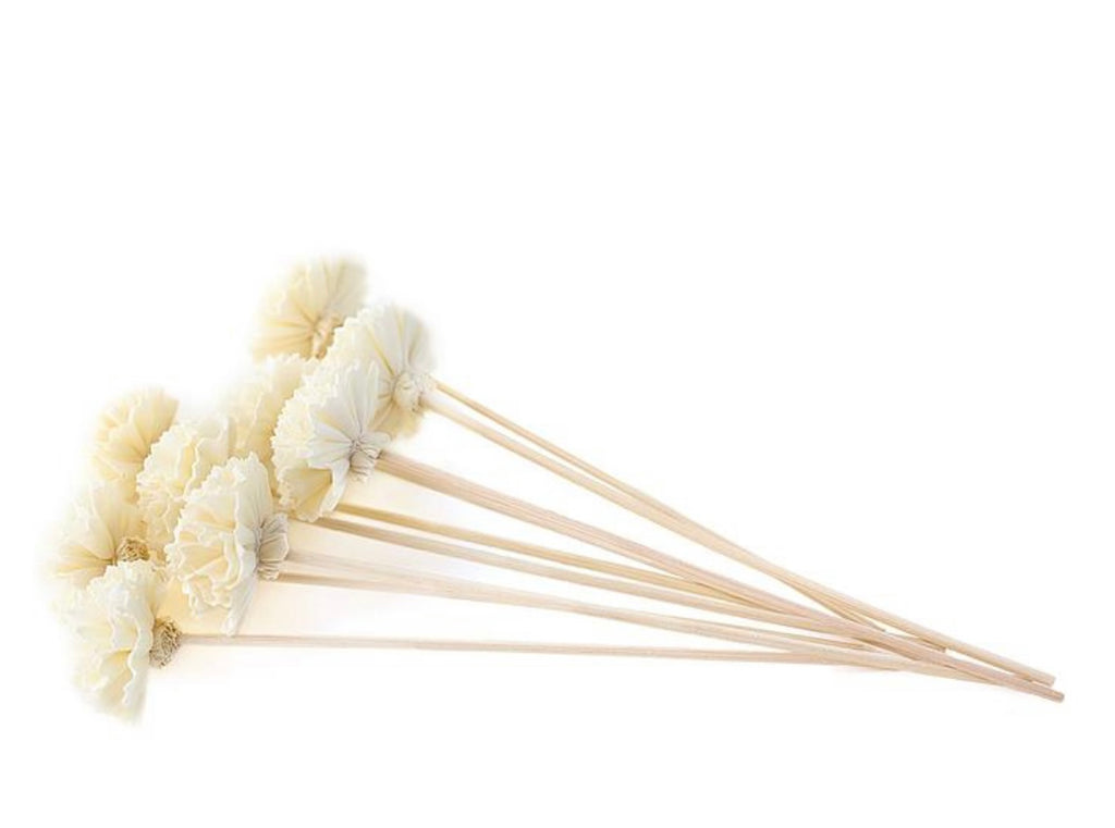 Flower Reeds For Diffuser