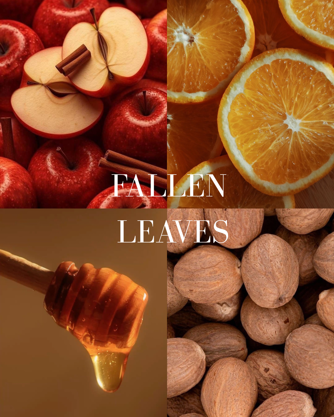 Fallen Leaves