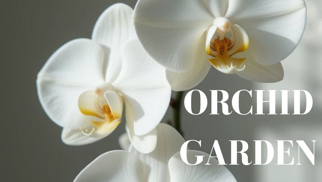Orchid Garden