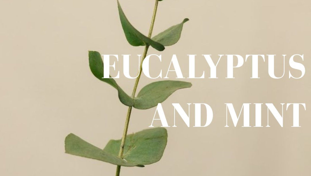 Eucalyptus & Mint