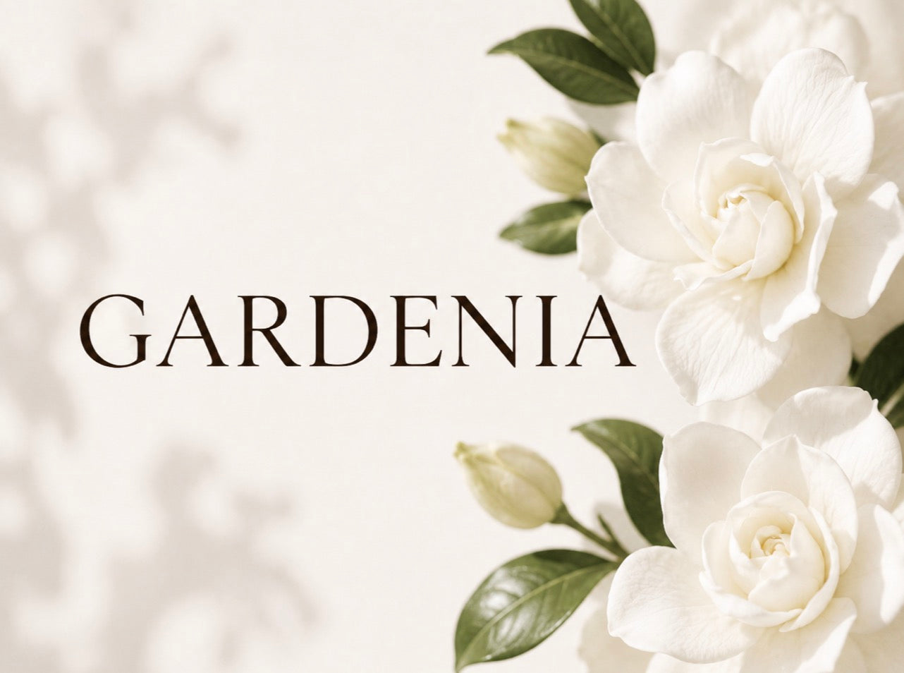 Gardenia