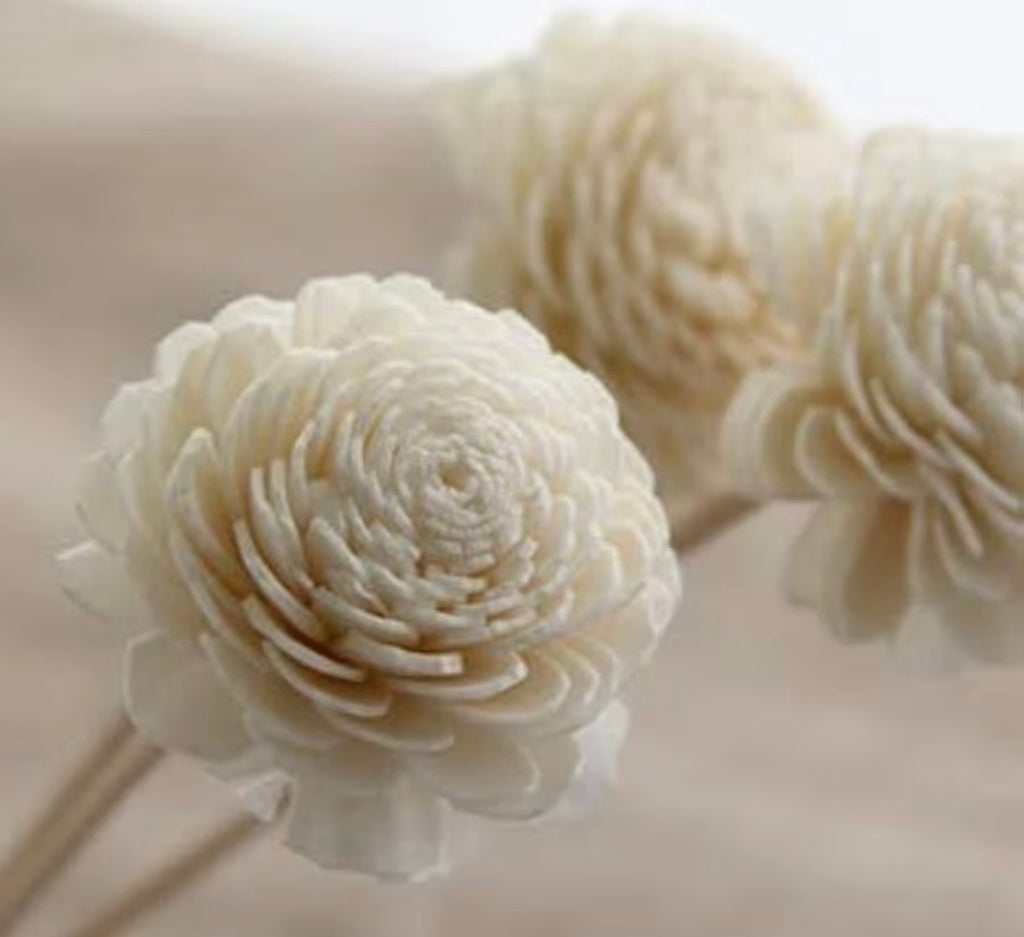 Flower Reeds For Diffuser