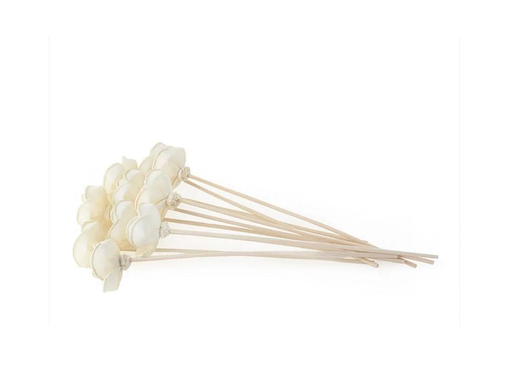 Flower Reeds For Diffuser